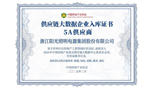 开云手机官方版在线入口荣膺 “2025 房建供应链综合实力 TOP500 首选供应商・照明灯具类” 三甲！